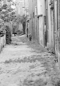 849234 Gezicht in een onbekend steegje te Utrecht.